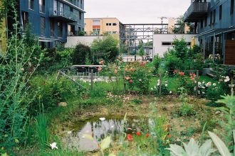 Une mare en milieu urbain. Crédit photo : Flickr