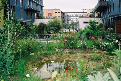 Une mare en milieu urbain. Crédit photo : Flickr